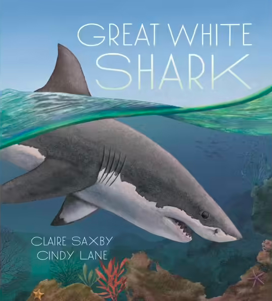 Great White Shark | Mum's Grapevine
