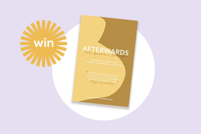 Afterwards Postpartum Book