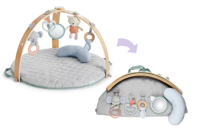 Ingenuity Cozy Spot reversible gym for babies
