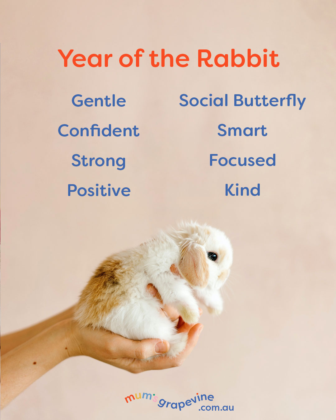 Year of the Water Rabbit personality traits for 2023