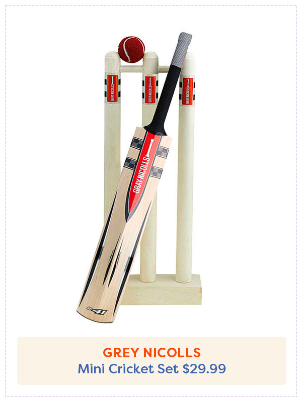 Set of mini cricket bat, ball and stumps