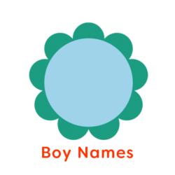 Illustration of Blue and green flower head with words Boy Names