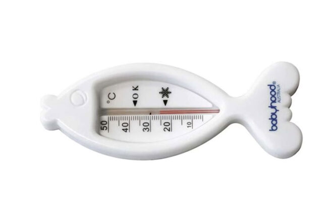 Babyhood fish thermometer