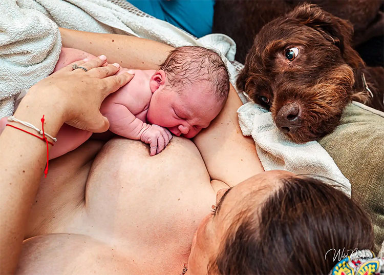 A woman breastfeeding her newborn baby with a dog laying its head on the side of the bed