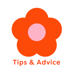 Illustration of yellow and tangerine flower with word 'Tips & Advice'